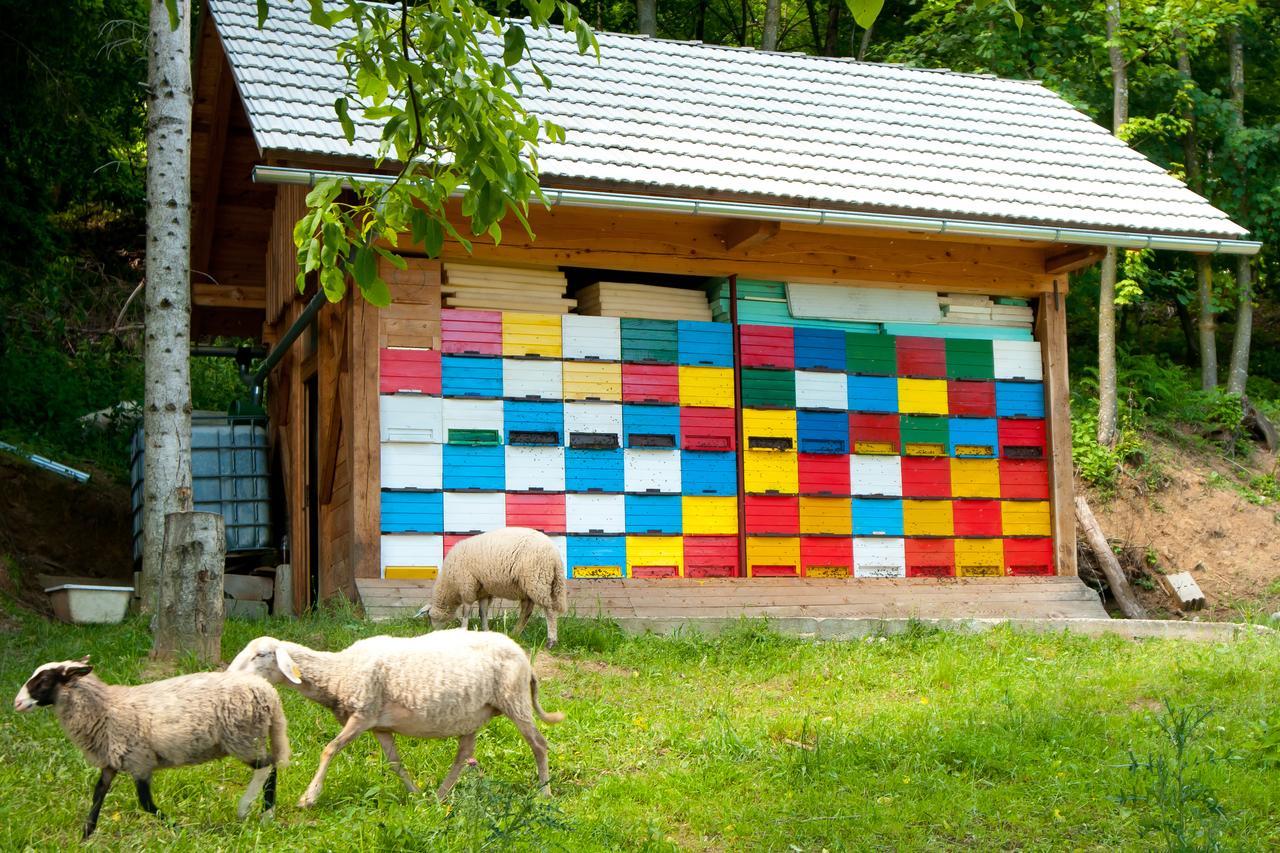 Bela Krajina - Glamping And Mobile Homes